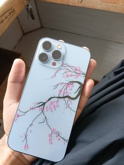 Apple iPhone 13 Pro Max