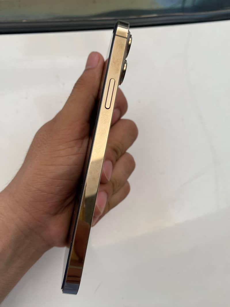 iPhone 13 Pro Max 5