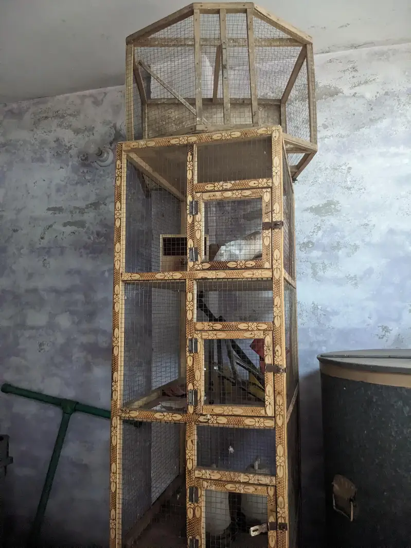 cage & food accessories — photo 2