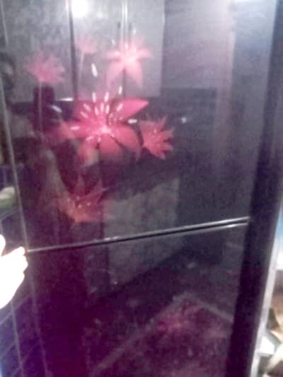 orient fridge