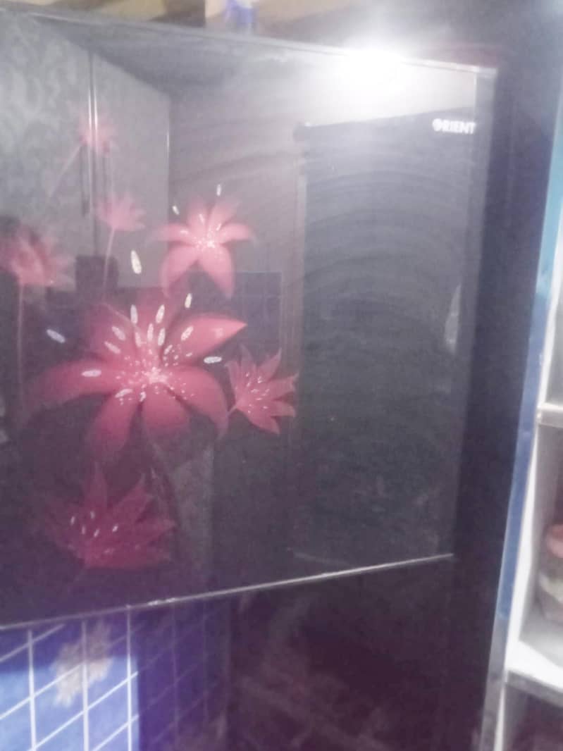 orient fridge 2