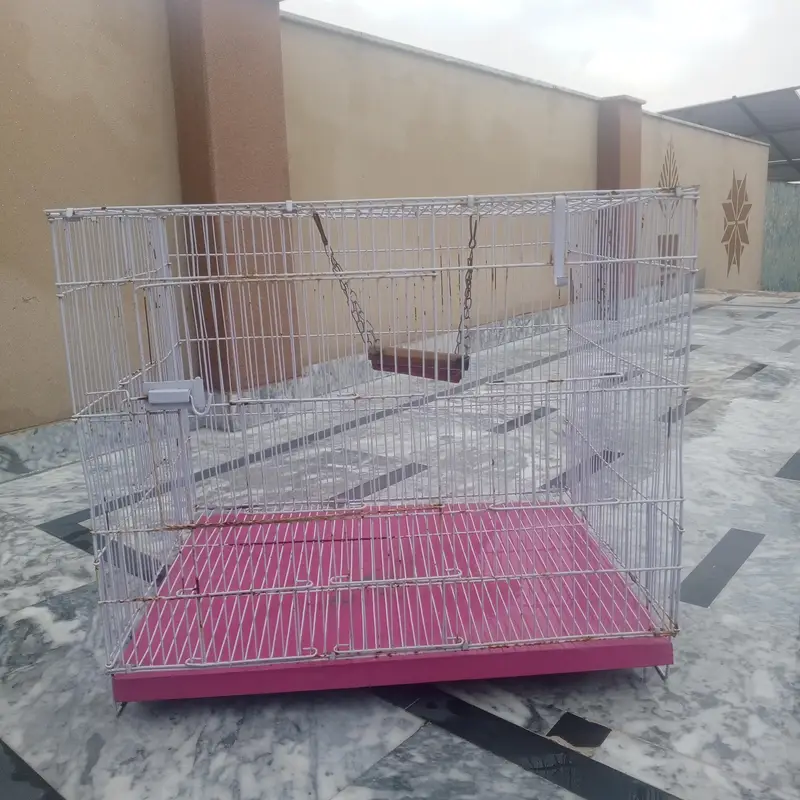 iron cage — photo 4