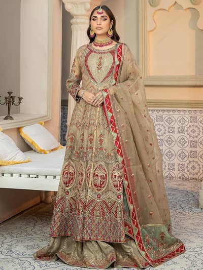 Organza Branded Shahjahan Wedding Outfit