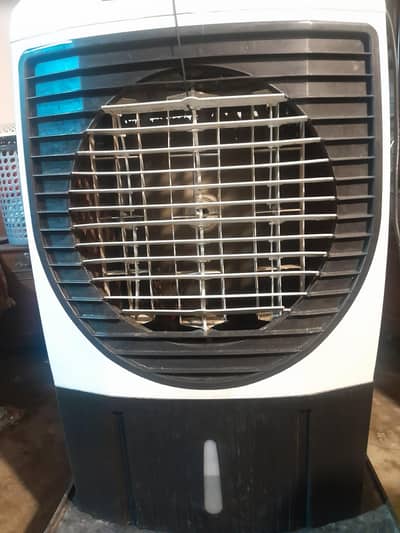 12 Dc Air Cooler