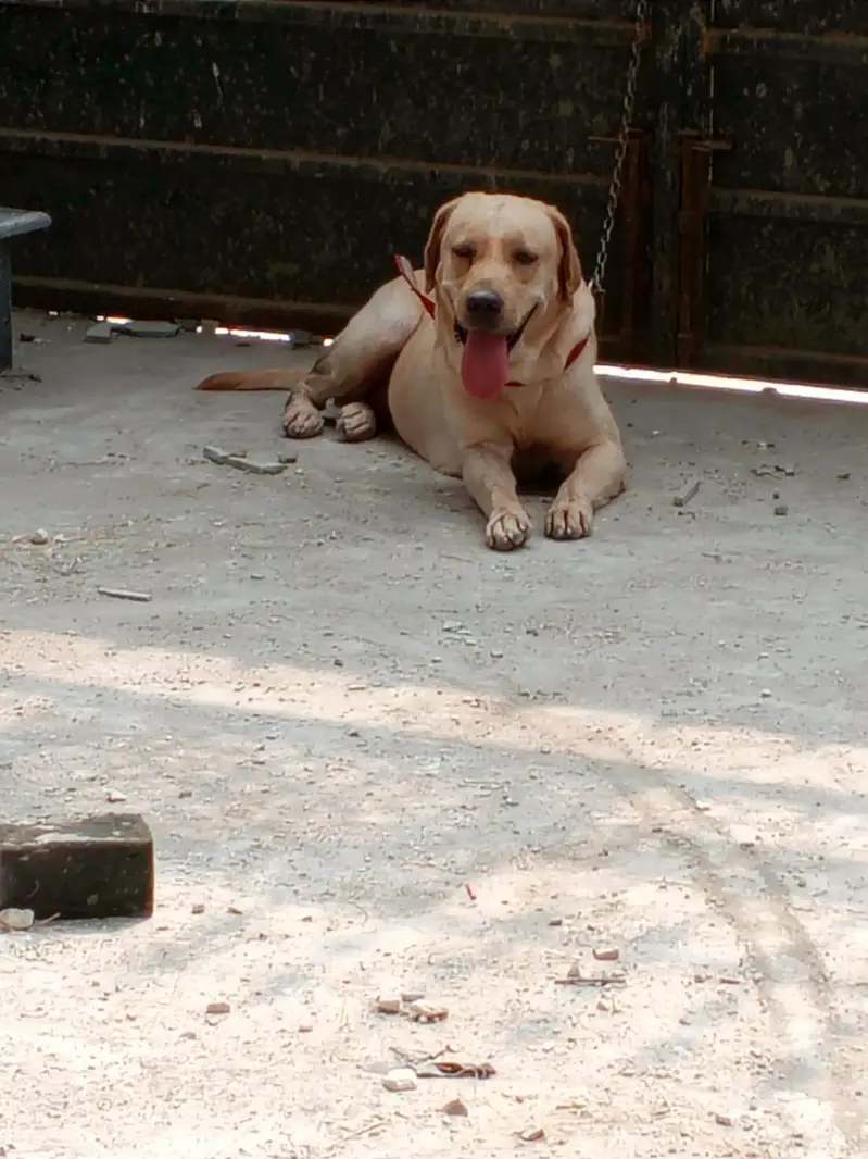 American female near heat — photo 2