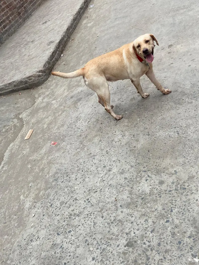 American female near heat — photo 3
