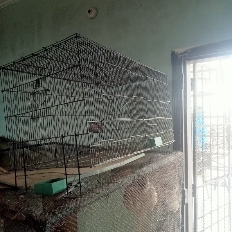 Parrot cage tolal 30 cage — photo 2