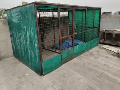 Big cage/Shed
