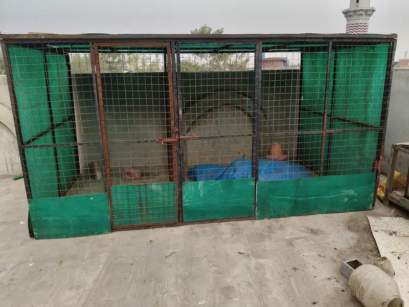 Big cage/Shed — photo 2