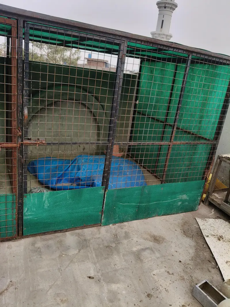 Big cage/Shed — photo 3
