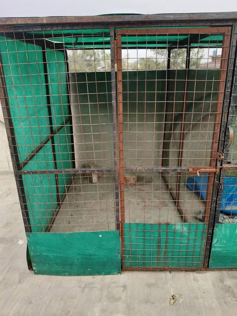 Big cage/Shed — photo 4