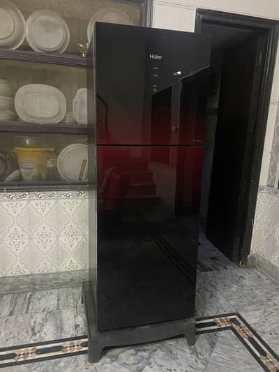 Haiar frige new and luxh condition