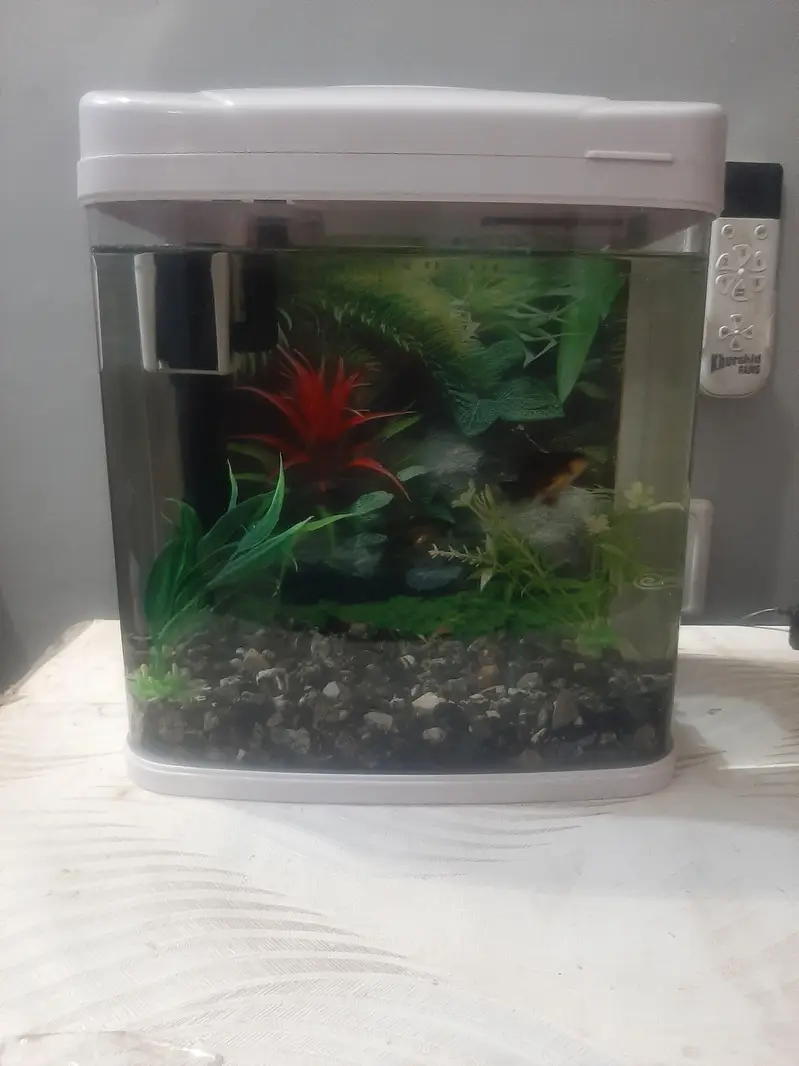 MINIJIANG Aquarium — photo 2