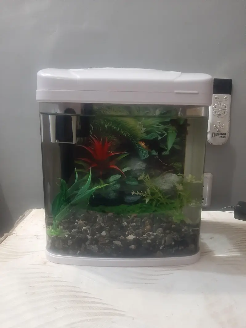 MINIJIANG Aquarium — photo 3