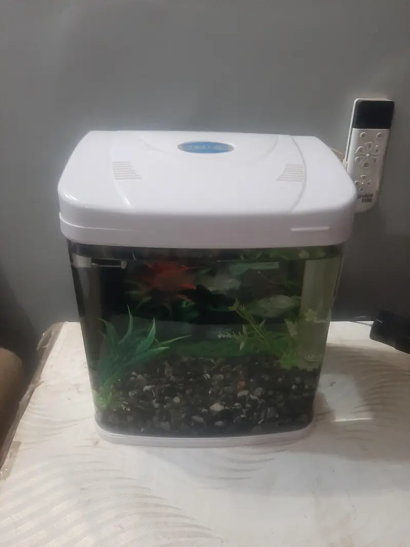 MINIJIANG Aquarium — photo 4