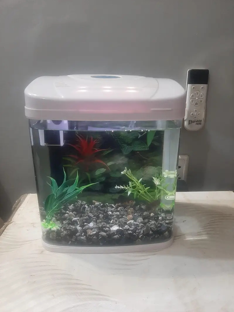 MINIJIANG Aquarium — photo 5