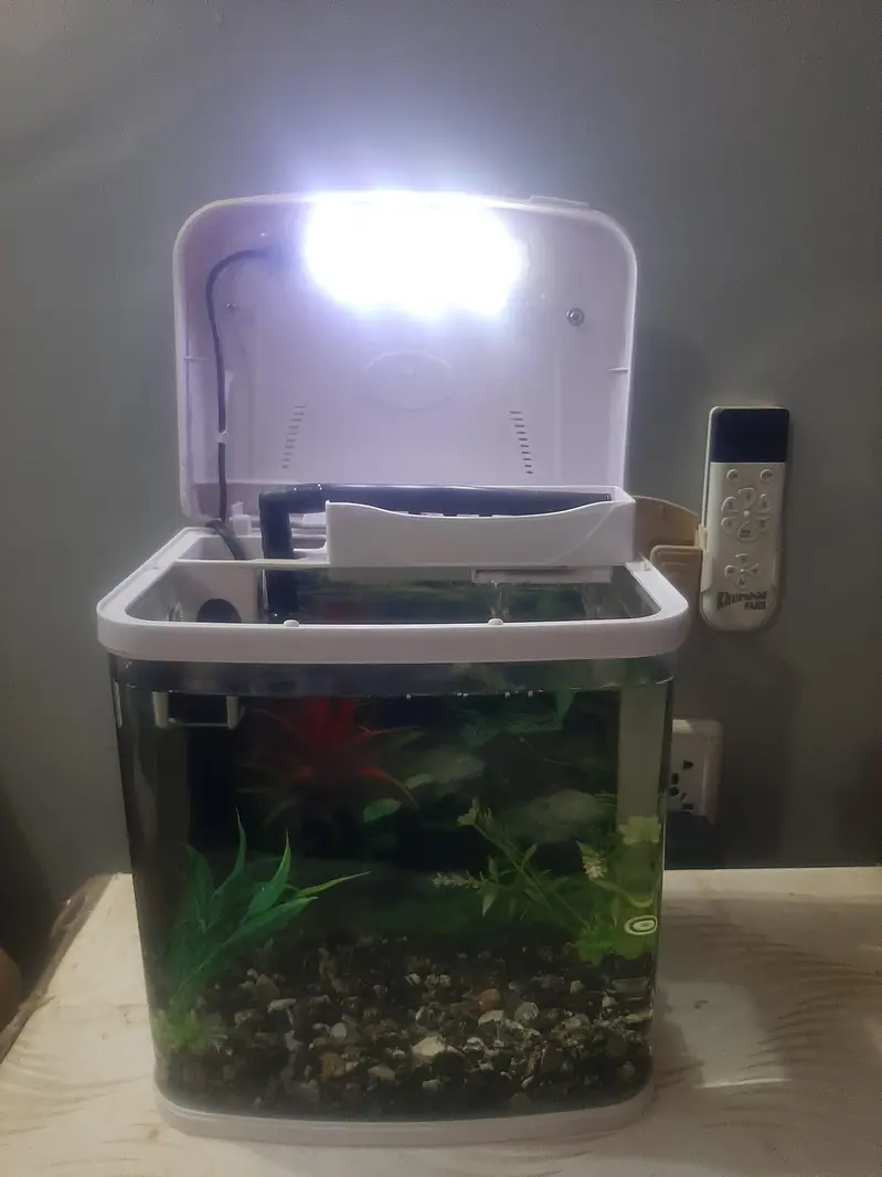 MINIJIANG Aquarium — photo 6