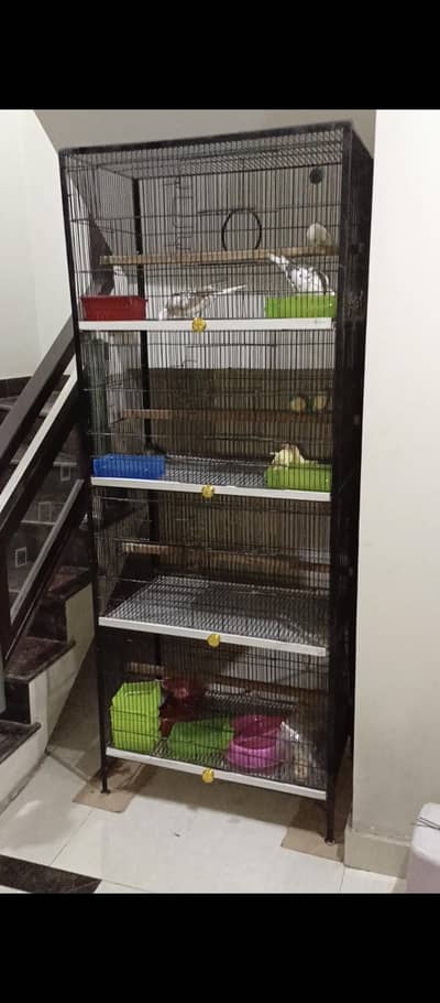 Birds With Cage 2.5 by 1.5 by 1.5