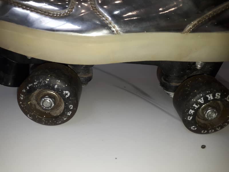 Skates 1