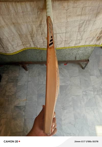 cricket bats