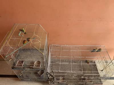 Fishers  with cage