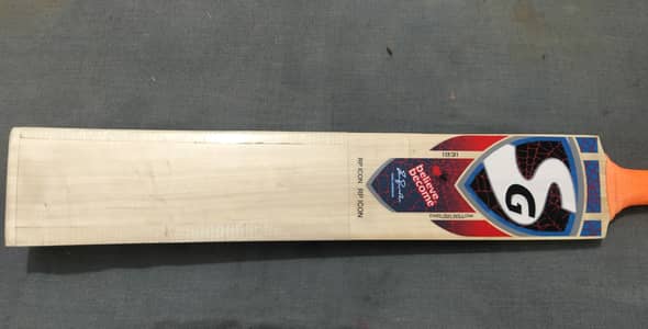 SG cricket hard ball bat