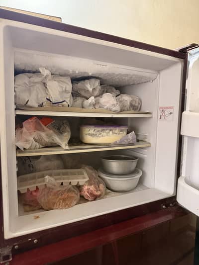 X-Large Fridge For Sale
