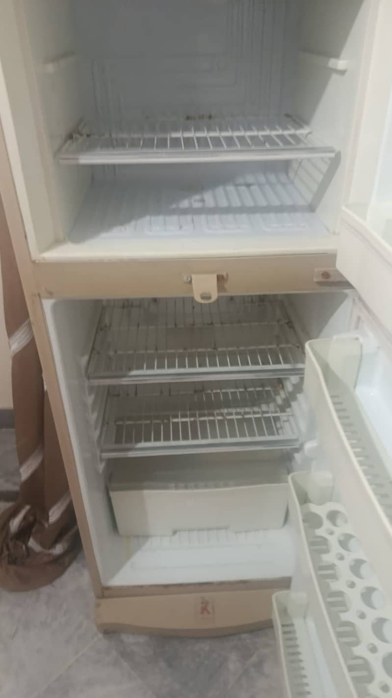 waves fridge 1