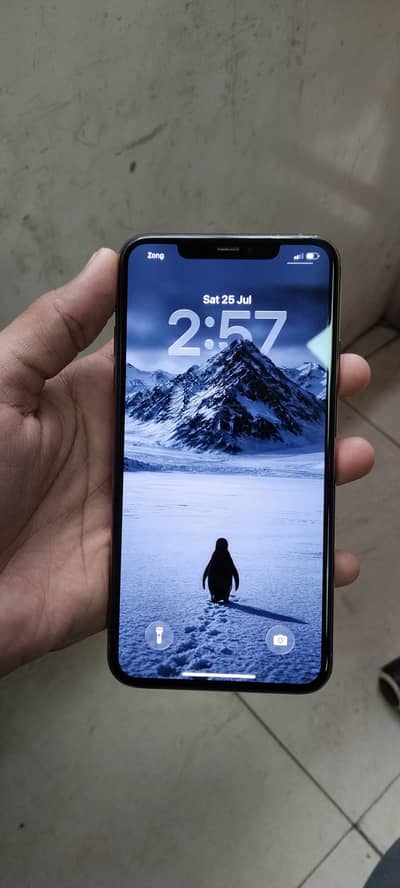Apple iPhone 11 Pro Max