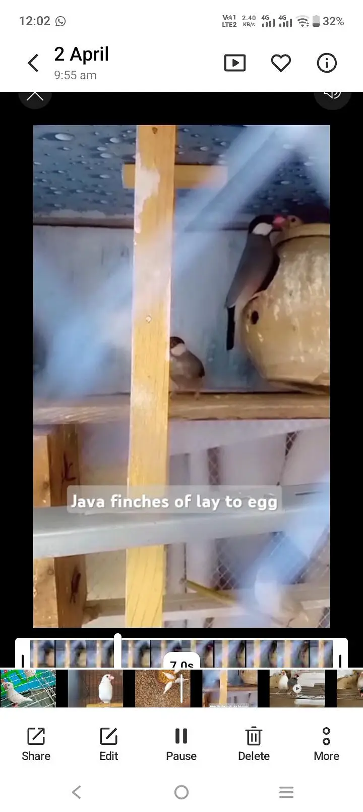 java breeder par — photo 4