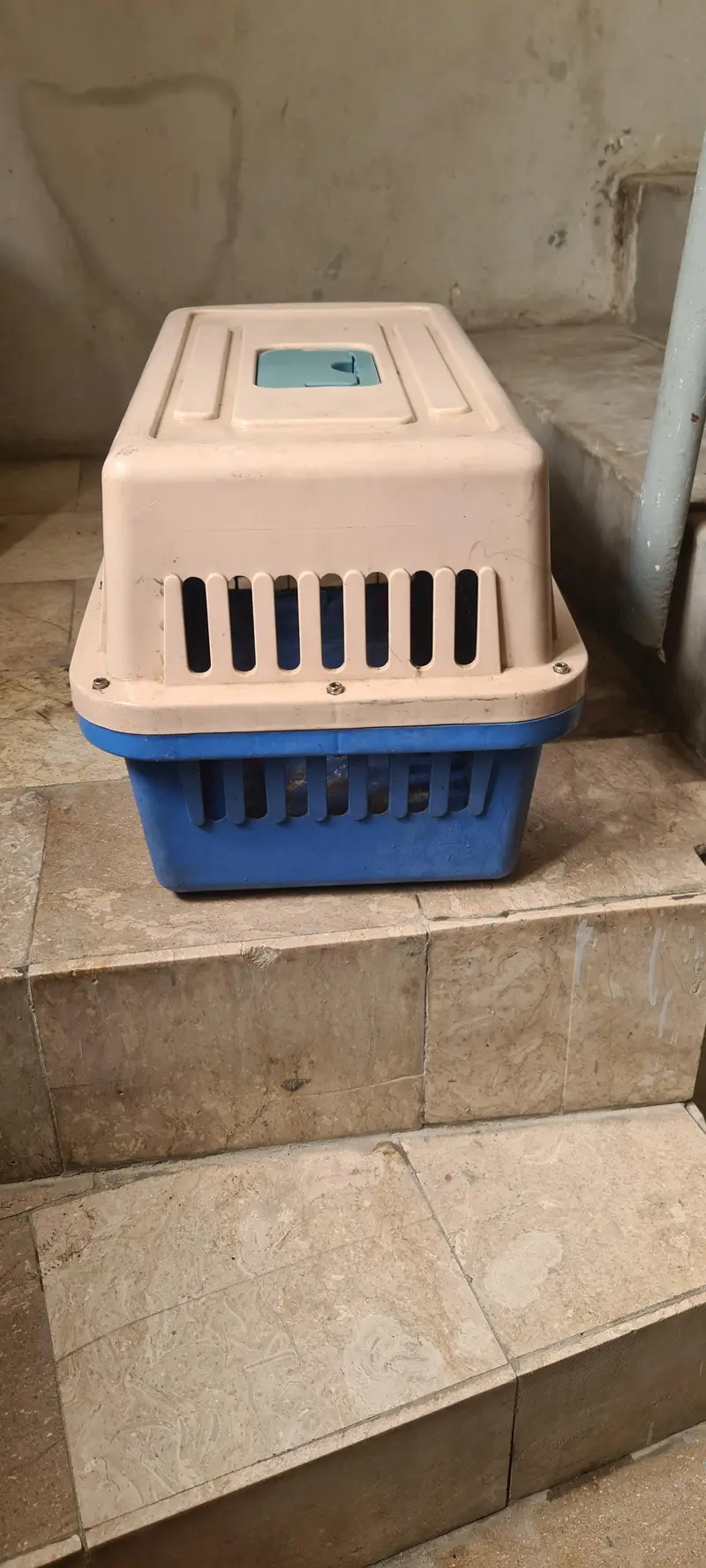 cat / dog cage used like new 10/9 strong plastic — photo 2