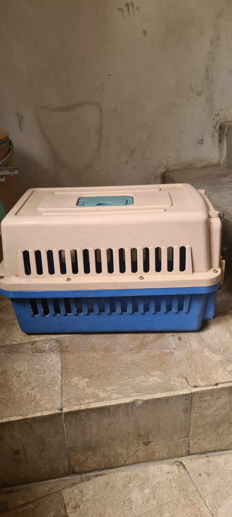 cat / dog cage used like new 10/9 strong plastic — photo 3