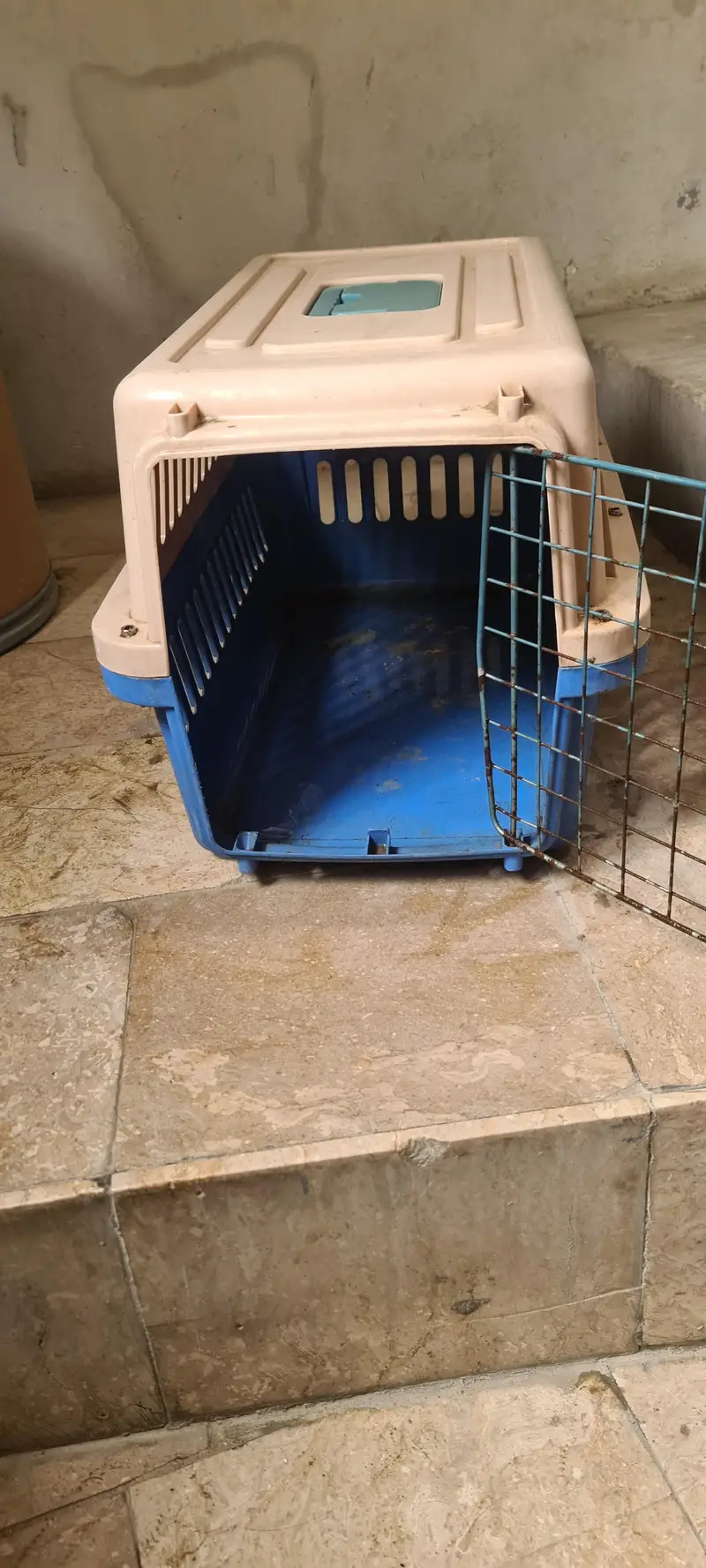 cat / dog cage used like new 10/9 strong plastic — photo 4