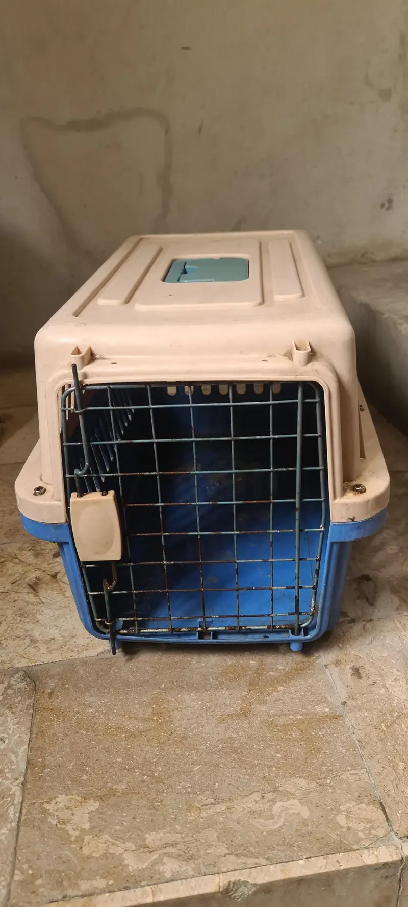 cat / dog cage used like new 10/9 strong plastic — photo 5