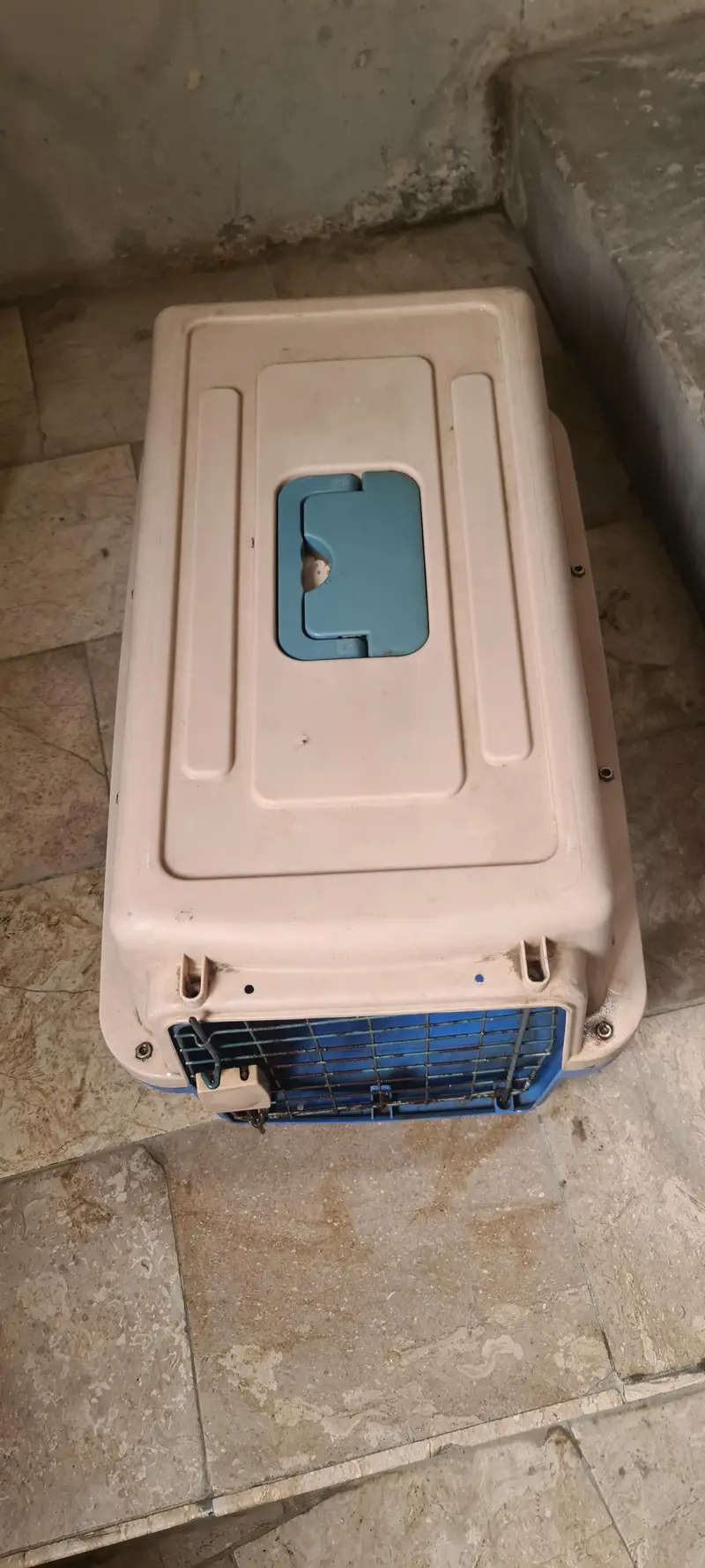 cat / dog cage used like new 10/9 strong plastic — photo 6
