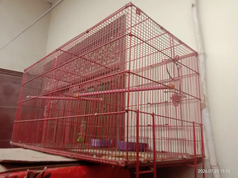 2 Portions Red Cage — photo 2