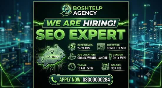 SEO Expert Required for Office Job 2+ Yrs Experien