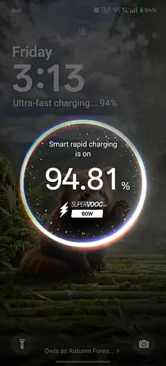 One Plus 13R 9