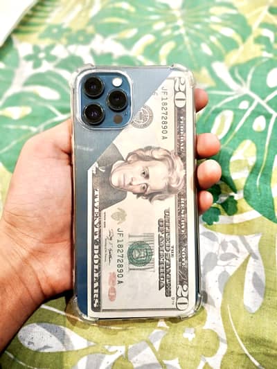Apple iPhone 12 Pro Max
