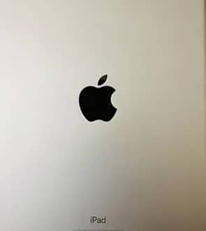 Apple ipad with cover 3
