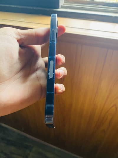 Apple iPhone 12 non pta jv