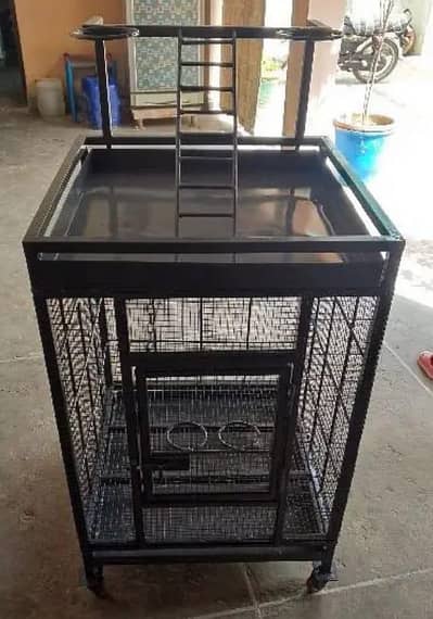 bird cage