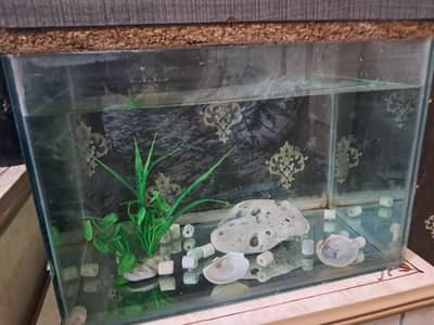 Aquarium