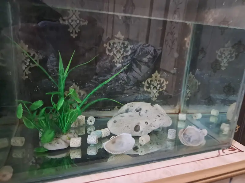 Aquarium — photo 2