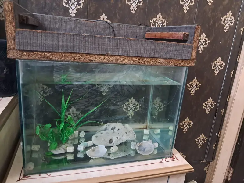 Aquarium — photo 3