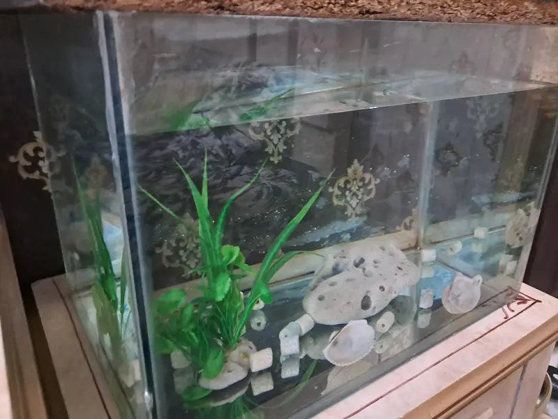 Aquarium — photo 4