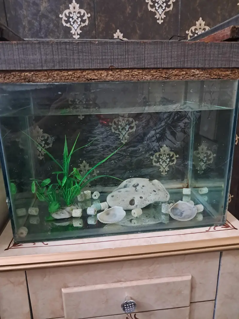 Aquarium — photo 5