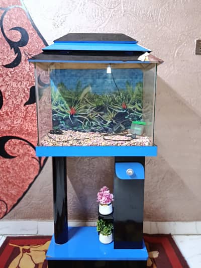Fish Aquarium