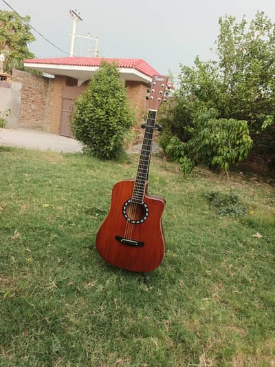 Professional Guitar