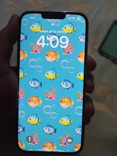 Apple iPhone 13 Pro Max